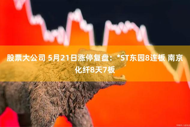股票大公司 5月21日涨停复盘：*ST东园8连板 南京化纤8天7板