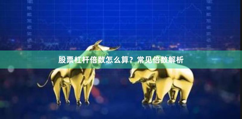 股票杠杆倍数怎么算？常见倍数解析