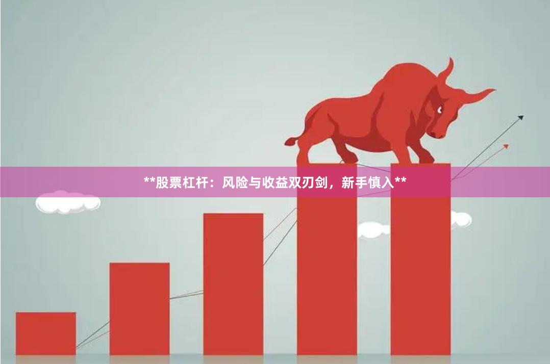 **股票杠杆：风险与收益双刃剑，新手慎入**