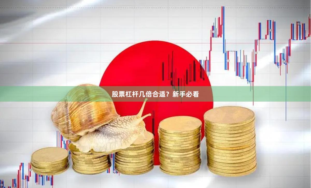 股票杠杆几倍合适？新手必看
