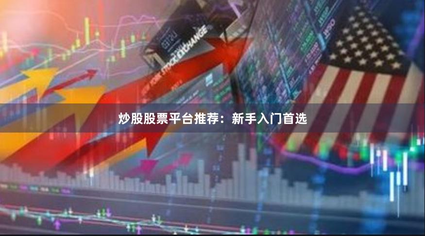 炒股股票平台推荐:新手入门首选